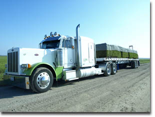 Truckload of turf